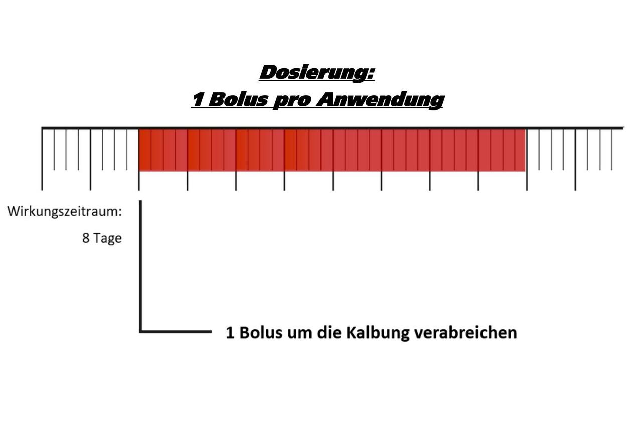 LANDMANS BEST METRITOP Bolus - 12 Boli à 100 g