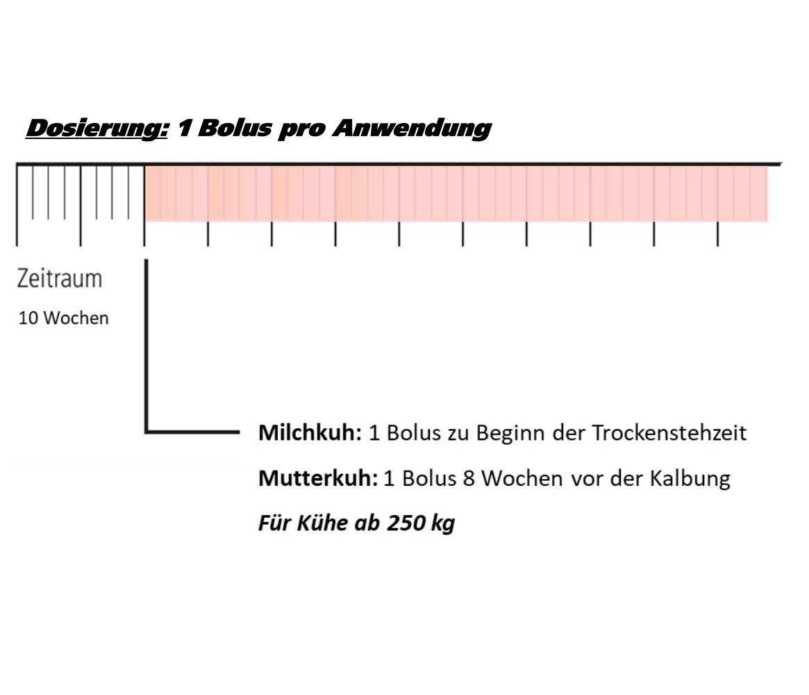 LANDMANS BEST CURATOP Trockensteher - 12 Boli x 110 g