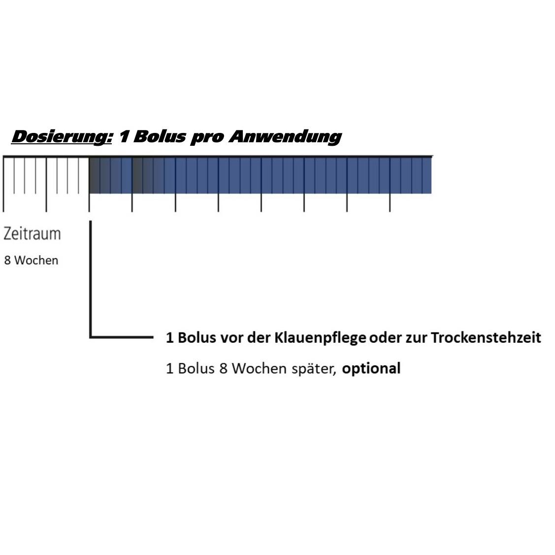 LANDMANS BEST BIOTINTOP Bolus - 12 Boli à 80 g