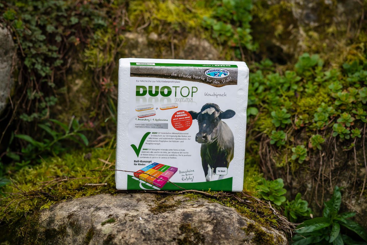 LANDMANS BEST DUOTOP Bolus - 12 Boli à 80 g